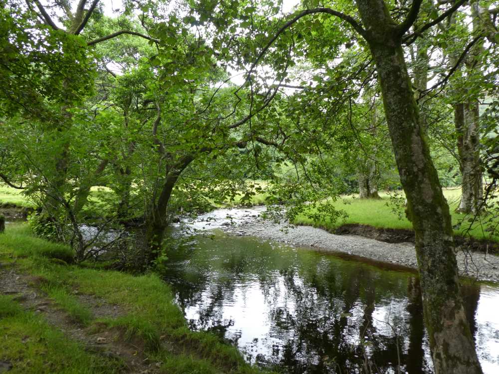 A photograph of a wooded river with full green foliage.