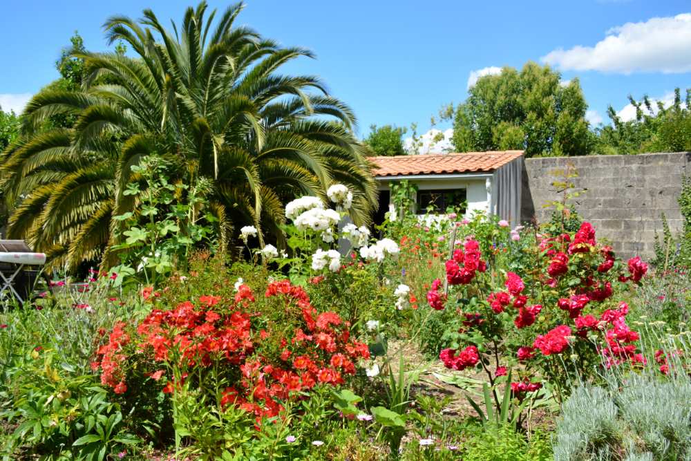 A garden in France, abundant with flowers.